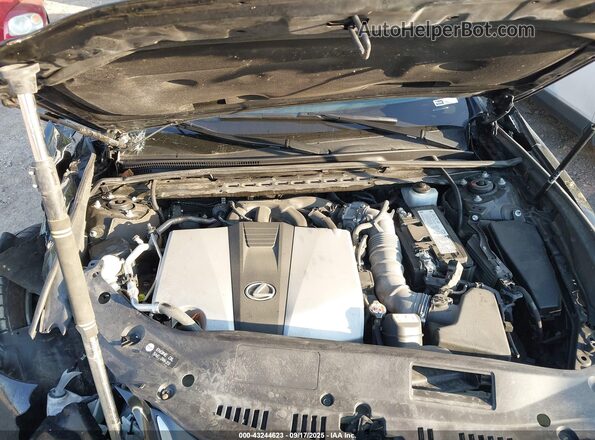 58ADZ1B13LU068619 2020 LEXUS ES 350 Black Вид ззаду
