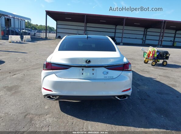 58ADZ1B15PU147330 2023 LEXUS ES Белый 