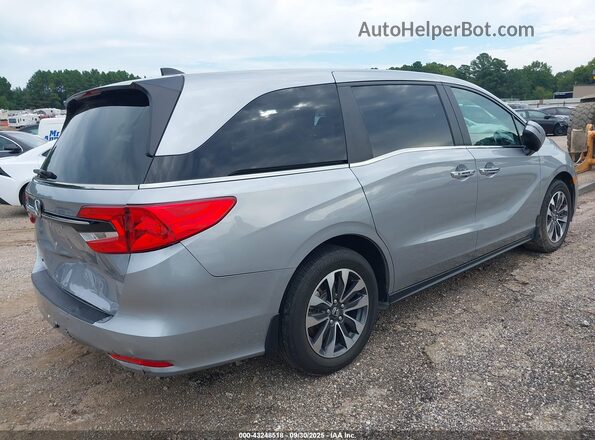 5FNRL6H60RB008995 2024 HONDA ODYSSEY Silver Հետևի աջ