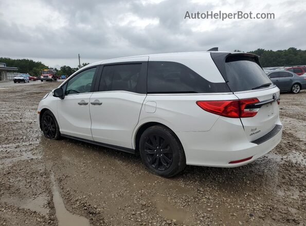 5FNRL6H63RB005072 2024 HONDA ODYSSEY White 