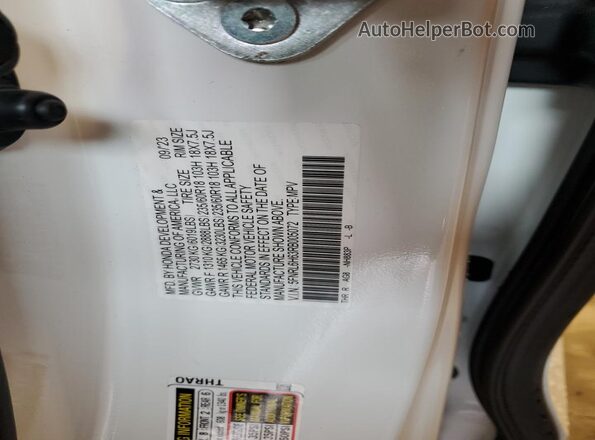 5FNRL6H63RB005072 2024 HONDA ODYSSEY White 