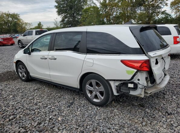 5FNRL6H70LB019902 2020 HONDA ODYSSEY White უკანა მარცხენა
