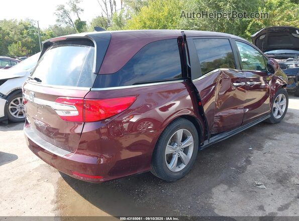 5FNRL6H70LB025697 2020 HONDA ODYSSEY Burgundy Rear right