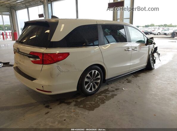 5FNRL6H70MB032702 2021 HONDA ODYSSEY White Rear right