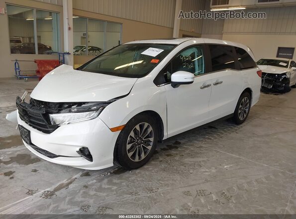 5FNRL6H70MB032702 2021 HONDA ODYSSEY White Front left