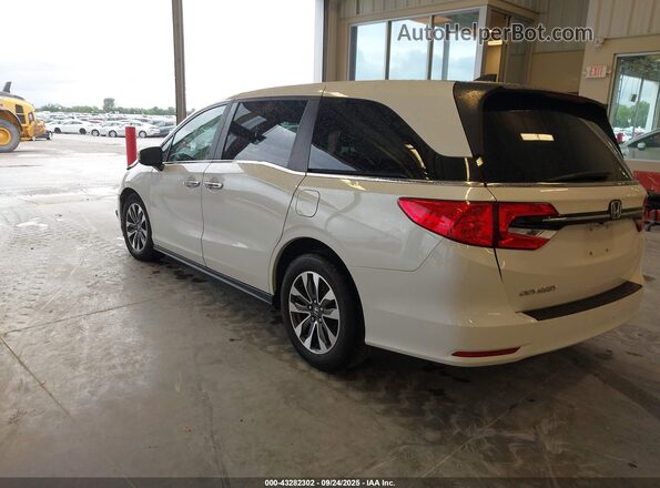 5FNRL6H70MB032702 2021 HONDA ODYSSEY White Rear left