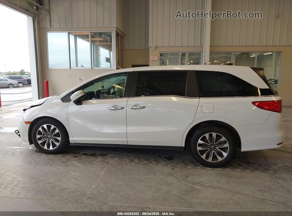 5FNRL6H70MB032702 2021 HONDA ODYSSEY White 360 interior view