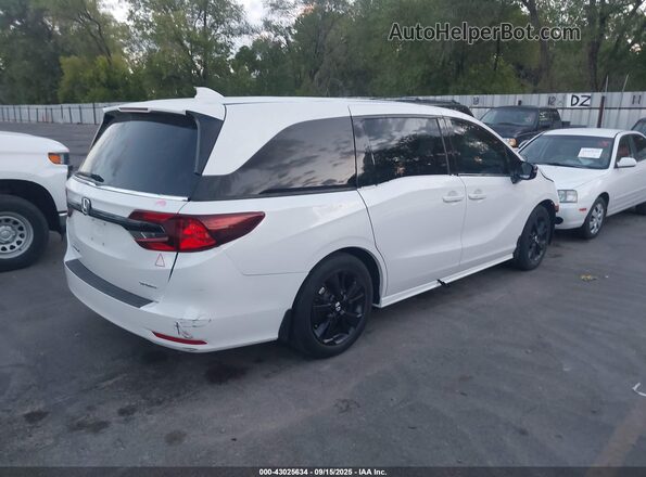 5FNRL6H70PB053778 2023 HONDA ODYSSEY White Tył prawy