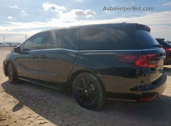 5FNRL6H70RB010271 2024 HONDA ODYSSEY Black Tył prawy