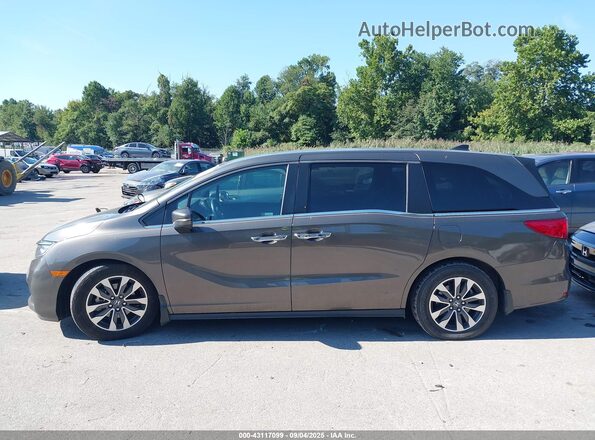 5FNRL6H72MB033477 2021 HONDA ODYSSEY Gray 360 interior view