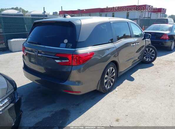 5FNRL6H72MB033477 2021 HONDA ODYSSEY Gray Rear right