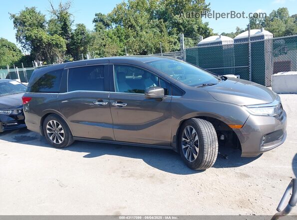 5FNRL6H72MB033477 2021 HONDA ODYSSEY Gray Rear interior view