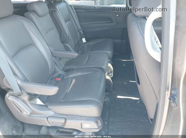 5FNRL6H72MB033477 2021 HONDA ODYSSEY Gray VIN sticker view
