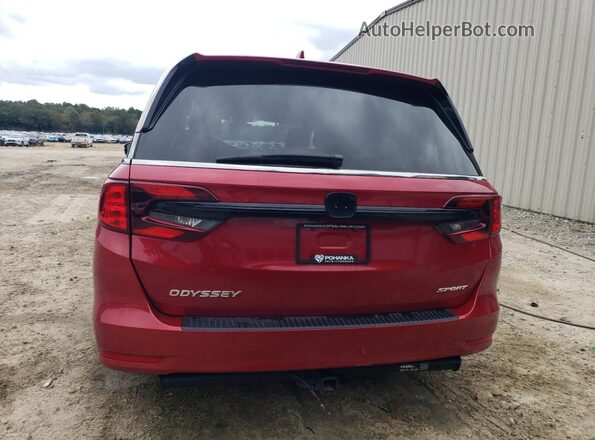 5FNRL6H72RB024625 2024 HONDA ODYSSEY Red Widok z tyłu