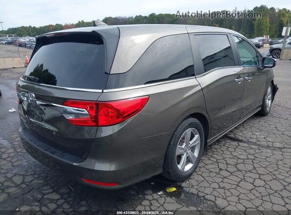 5FNRL6H77LB026765 2020 HONDA ODYSSEY Gray უკანა მარჯვენა