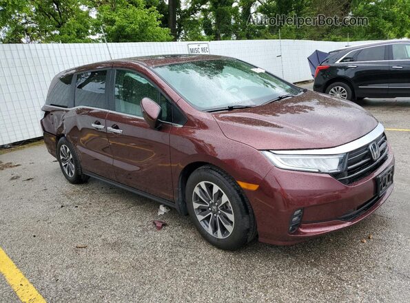 5FNRL6H78MB003061 2021 HONDA ODYSSEY Burgundy Front right