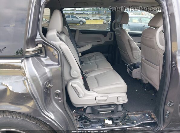 5FNRL6H87LB015158 2020 HONDA ODYSSEY Gray Widok naklejki z numerem VIN