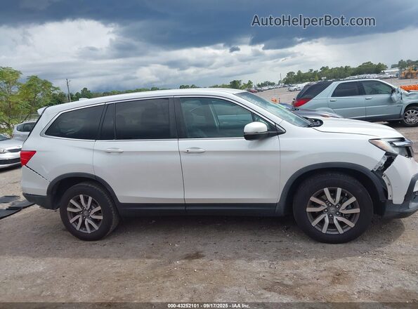 5FNYF5H31LB025329 2020 HONDA PILOT White უკანა სალონის ხედი