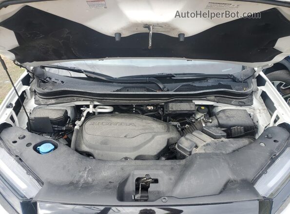 5FNYF8H00NB007902 2022 HONDA PASSPORT White 