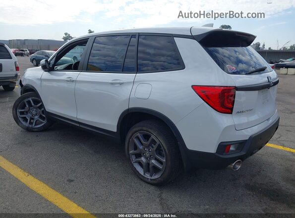 5FNYF8H50PB031566 2023 HONDA PASSPORT White Задня ліва чверть
