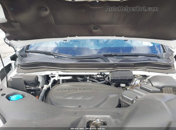 5FNYF8H50PB031566 2023 HONDA PASSPORT White Вид ззаду