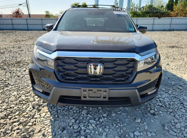 5FNYF8H5XRB013031 2024 HONDA PASSPORT Black 