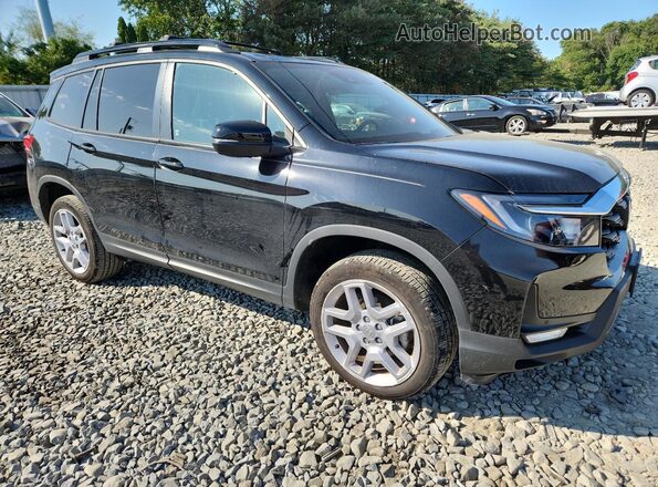 5FNYF8H5XRB013031 2024 HONDA PASSPORT Black 