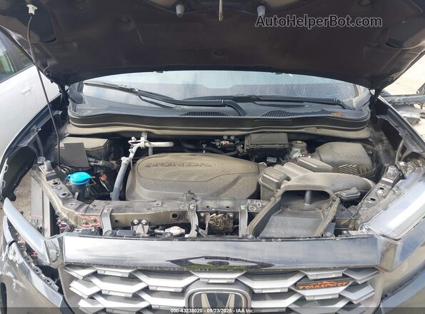 5FNYF8H69PB042641 2023 HONDA PASSPORT Black Widok z tyłu