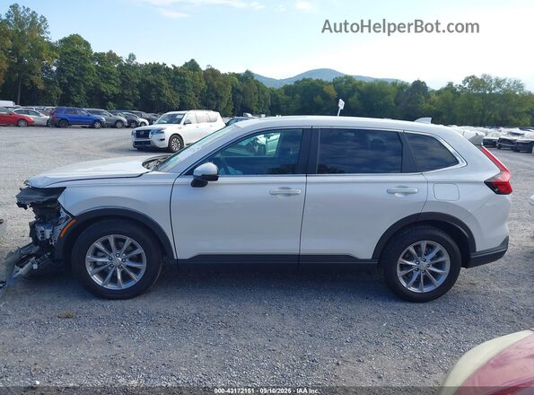 5J6RS4H42PL003159 2023 HONDA CR-V White Widok wnętrza 360 stopni