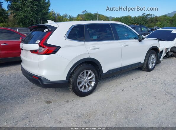 5J6RS4H42PL003159 2023 HONDA CR-V White Tył prawy