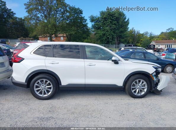 5J6RS4H42PL003159 2023 HONDA CR-V White Widok wnętrza z tyłu