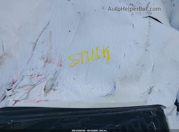 5LMCJ1DA6SUL05509 2025 LINCOLN CORSAIR White Հետևի տեսք
