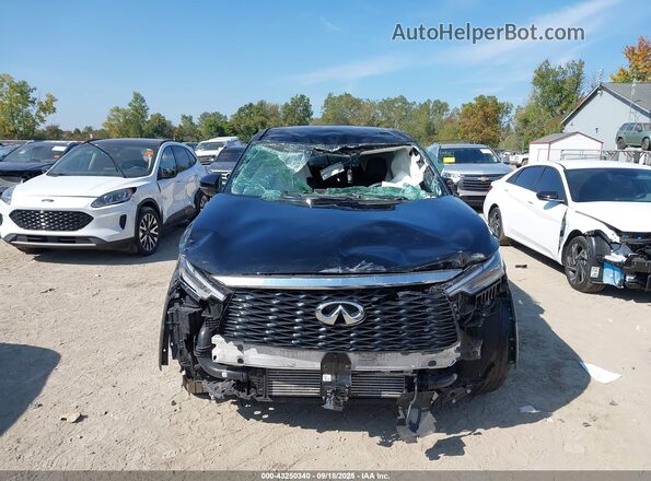 5N1AL1ES0SC339883 2025 INFINITI QX60 Black Rear interior view