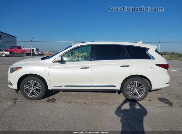 5N1DL0MN1LC500746 2020 INFINITI QX60 White სალონის 360-გრადუსიანი ხედი
