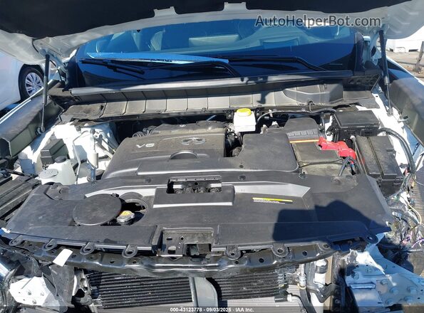 5N1DL1HU6RC353291 2024 INFINITI QX60 Белый Вид сзади