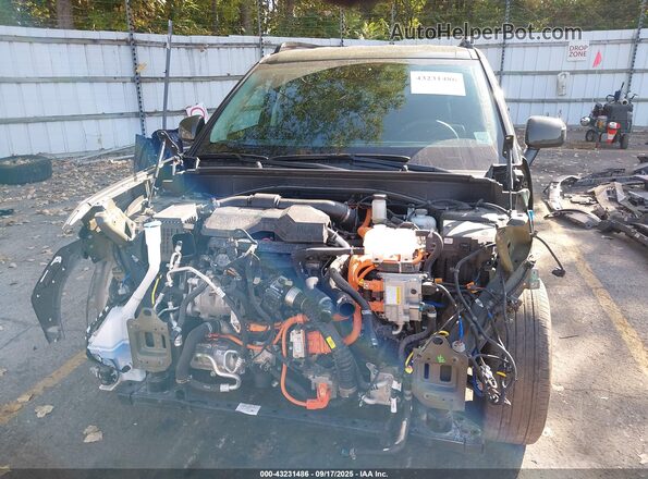 5NMP2DG15RH016092 2024 HYUNDAI SANTA FE HYBRID Green Սալոնի հետևի տեսք