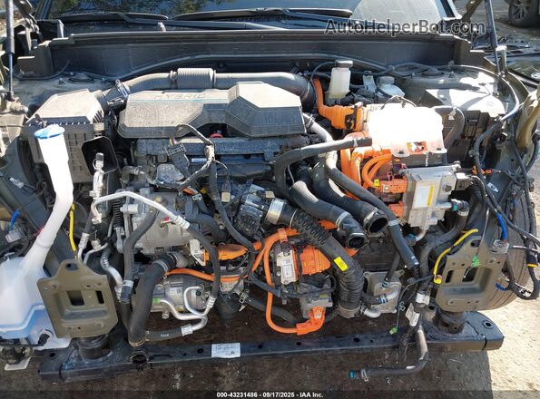 5NMP2DG15RH016092 2024 HYUNDAI SANTA FE HYBRID Green 