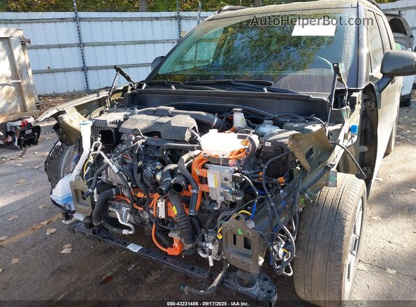 5NMP2DG15RH016092 2024 HYUNDAI SANTA FE HYBRID Green 