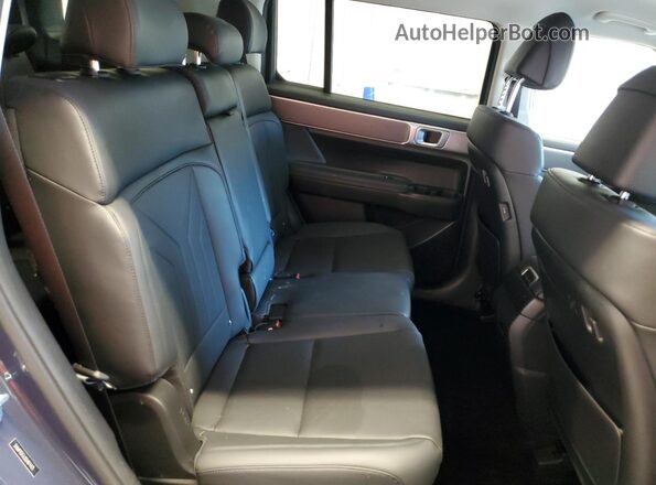 5NMP2DGL0SH074425 2025 HYUNDAI SANTA Blue 