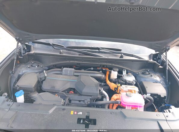 5NMP3DG11RH009038 2024 HYUNDAI SANTA FE HYBRID Gray Widok z tyłu