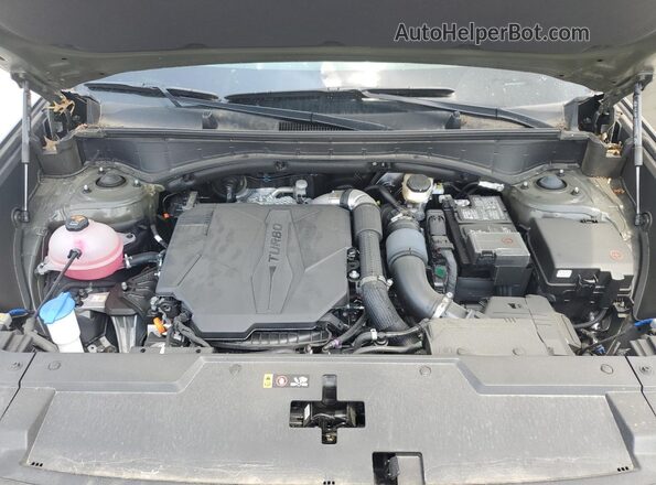5NMP3DGL4RH012534 2024 HYUNDAI SANTA Зеленый 