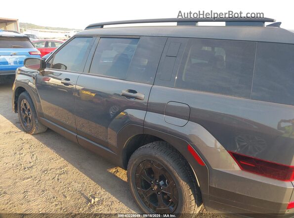 5NMP3DGL7SH090604 2025 HYUNDAI SANTA FE Серый Панорамный вид салона 360°