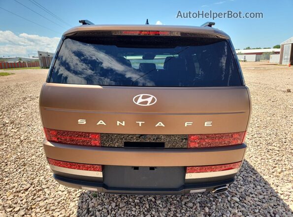 5NMP44GLXRH026192 2024 HYUNDAI SANTA Brown Հետևի տեսք