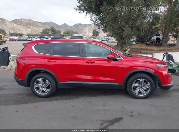 5NMS14AJ5MH334146 2021 HYUNDAI SANTA FE Красный Вид задней части салона