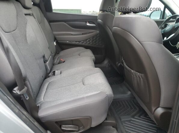 5NMS2CAD9LH246278 2020 HYUNDAI SANTA Silver Սալոնի հետևի տեսք