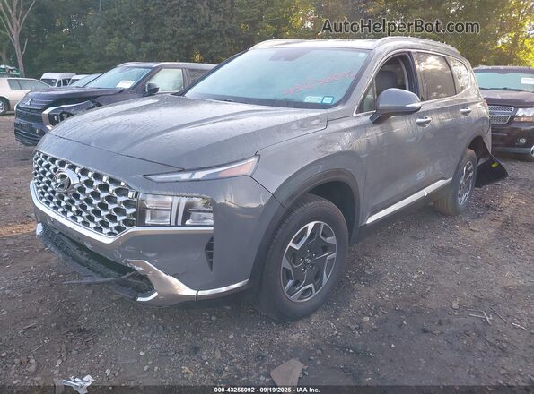 5NMS2DA14PH014561 2023 HYUNDAI SANTA FE HYBRID BLUE Gray Front left