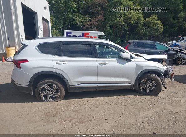 5NMS2DAJ5MH340235 2021 HYUNDAI SANTA FE White Вид задньої частини салону