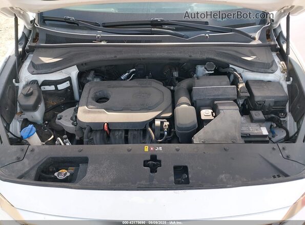 5NMS3CAD7LH206438 2020 HYUNDAI SANTA FE White Հետևի տեսք