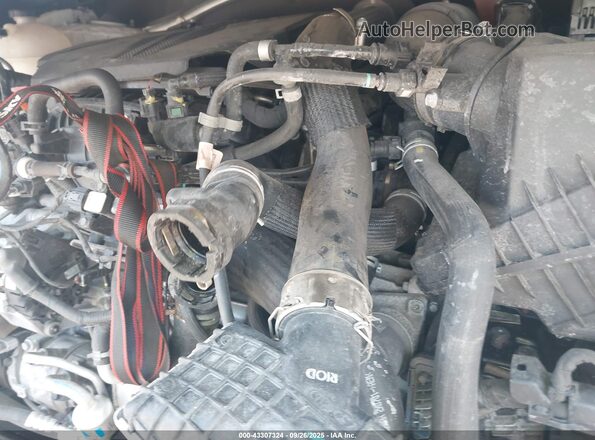 5NMS4DAL8PH531650 2023 HYUNDAI SANTA FE White Widok z tyłu