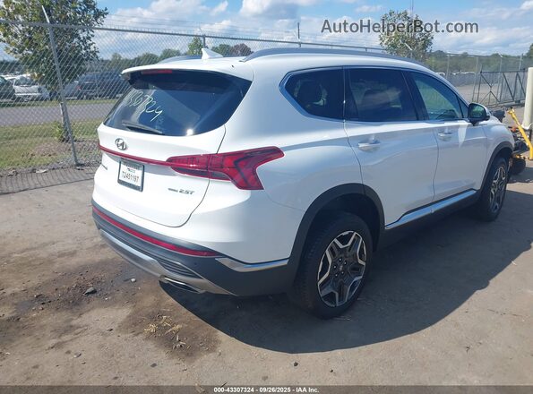 5NMS4DAL8PH531650 2023 HYUNDAI SANTA FE White Tył prawy